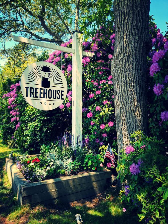 Treehouse Lodge 伍兹霍尔 外观 照片